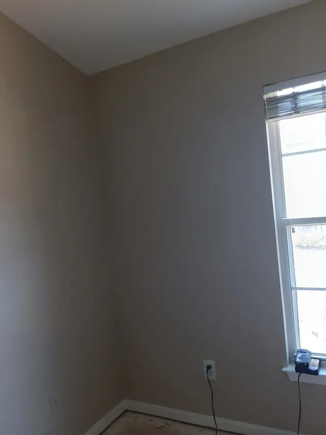 Professional House Painting