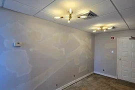 Professional House Painting